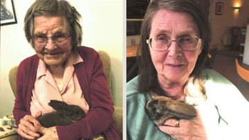 Three new resident bunnies at Huntingdon home
